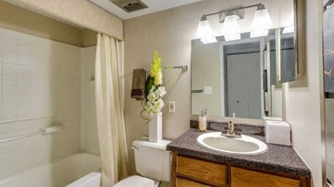 a bathroom with a sink and a toilet and a mirror