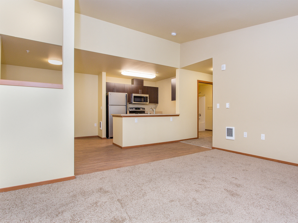 Living Room and Kitchen