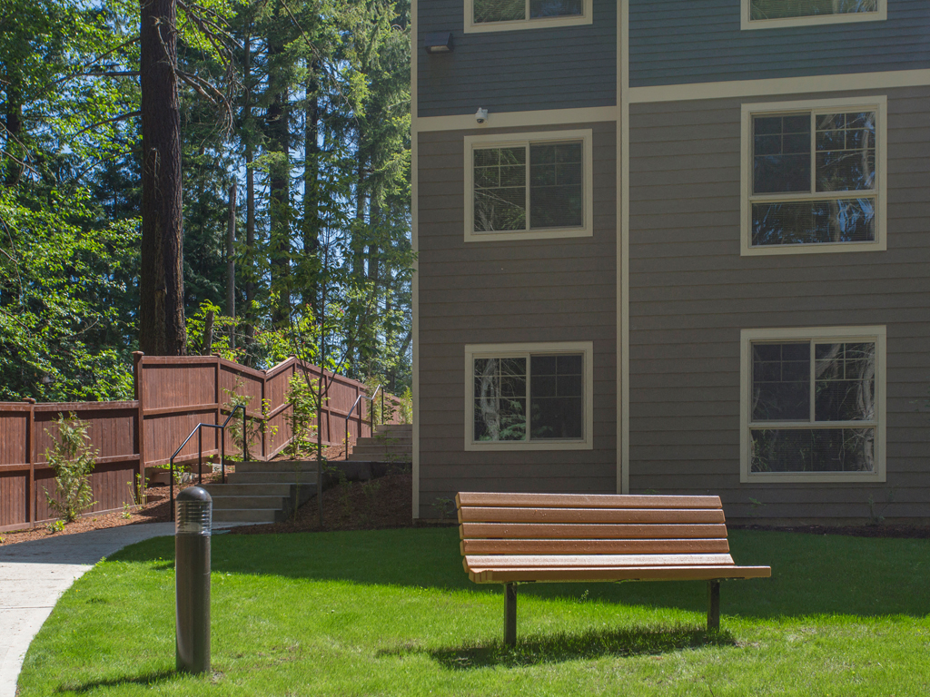 Walking Trail and Park Bench