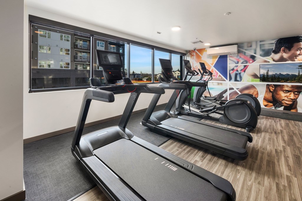 A treadmill is in a room with a wall of treadmills.