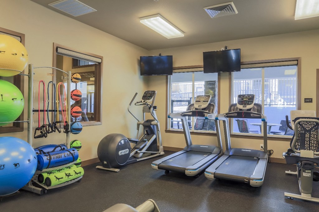 Cardio Equipment in Gym