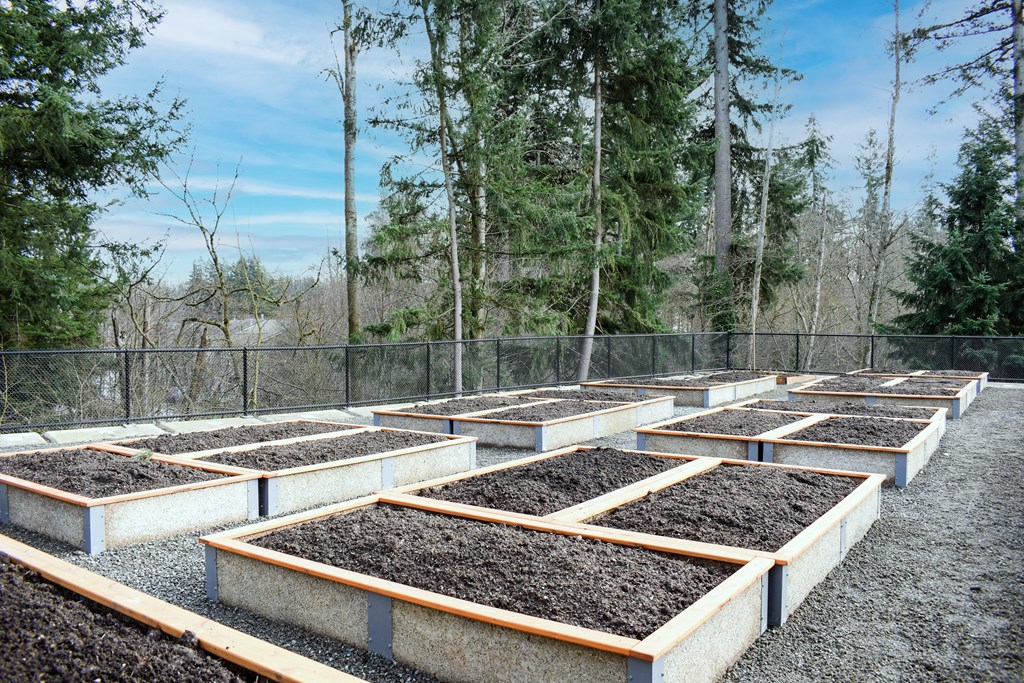 Garden Plots at Manor Way Apartments, WA 98204