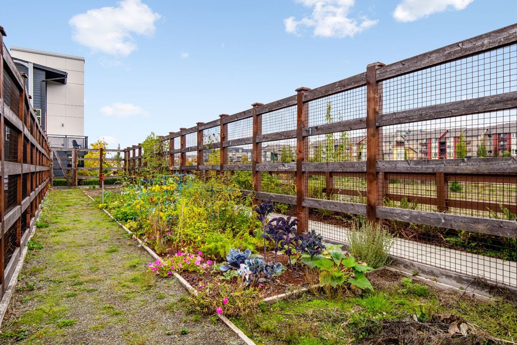 Garden Area at Discovery West, Issaquah, WA