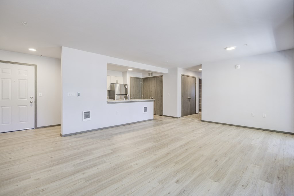 Livingroom, kitchen and entrance