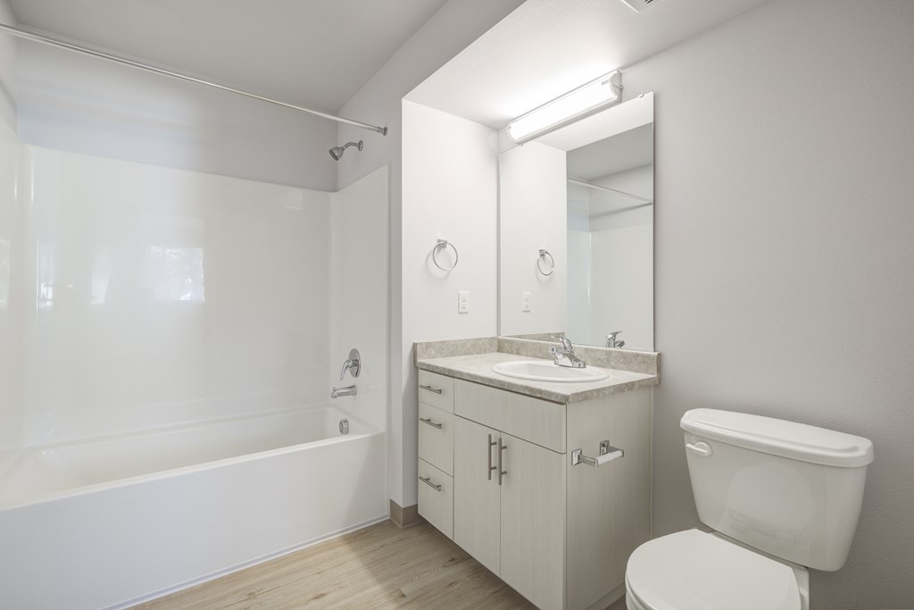 Master bedroom bathroom