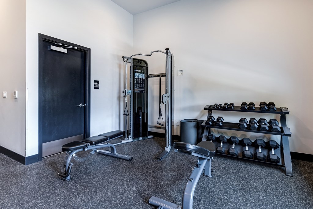 24-Hour Fitness Studio with Cardio & Free Weights