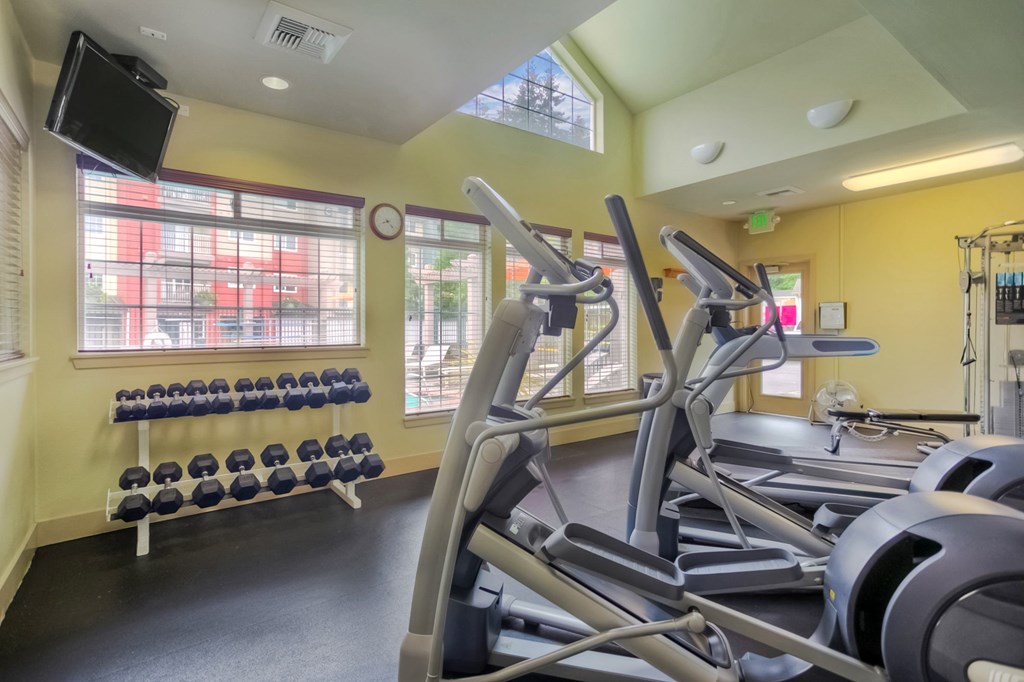 A gym with treadmills, dumbbells, and a flat screen TV.