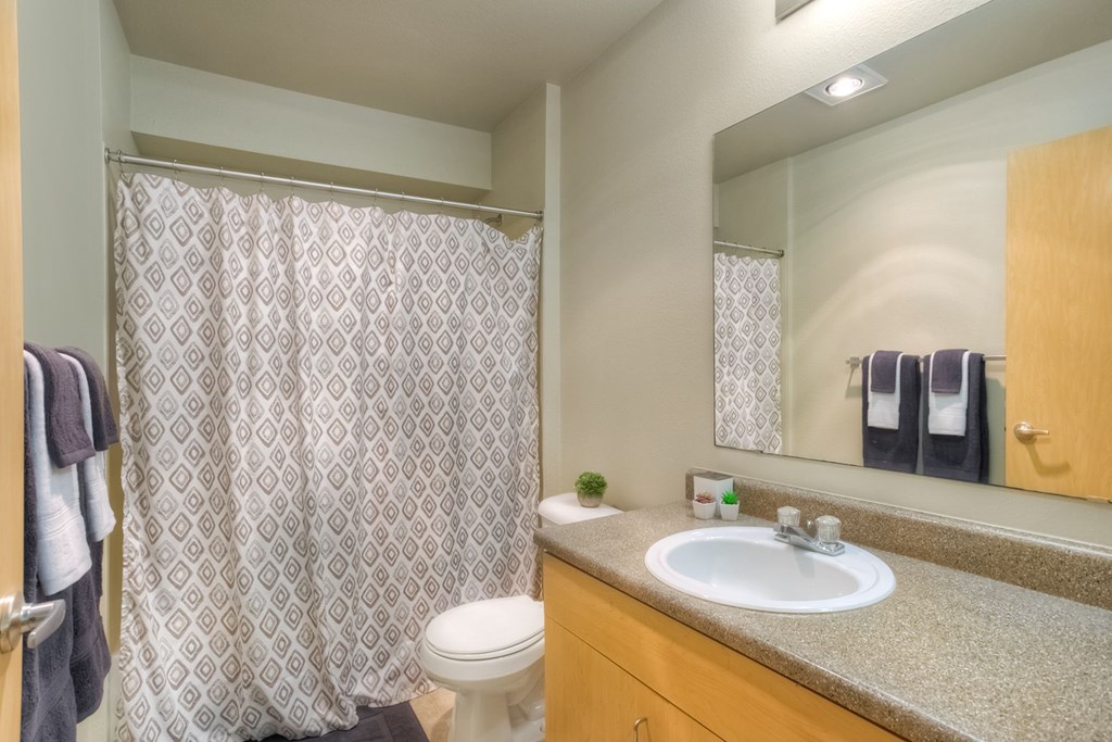 A bathroom with a toilet, sink, and shower curtain.