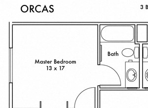 Orcas