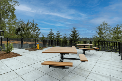 Outdoor Benches with beautiful views