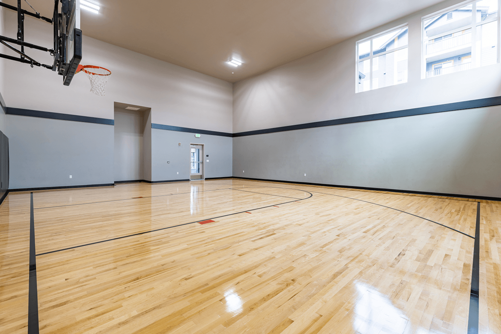 Basketball Court