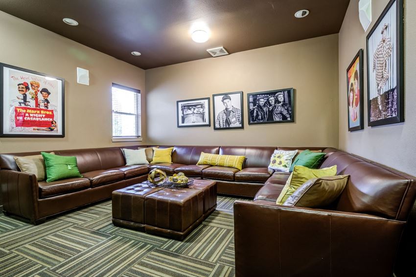 Theatre Room - Photo Gallery