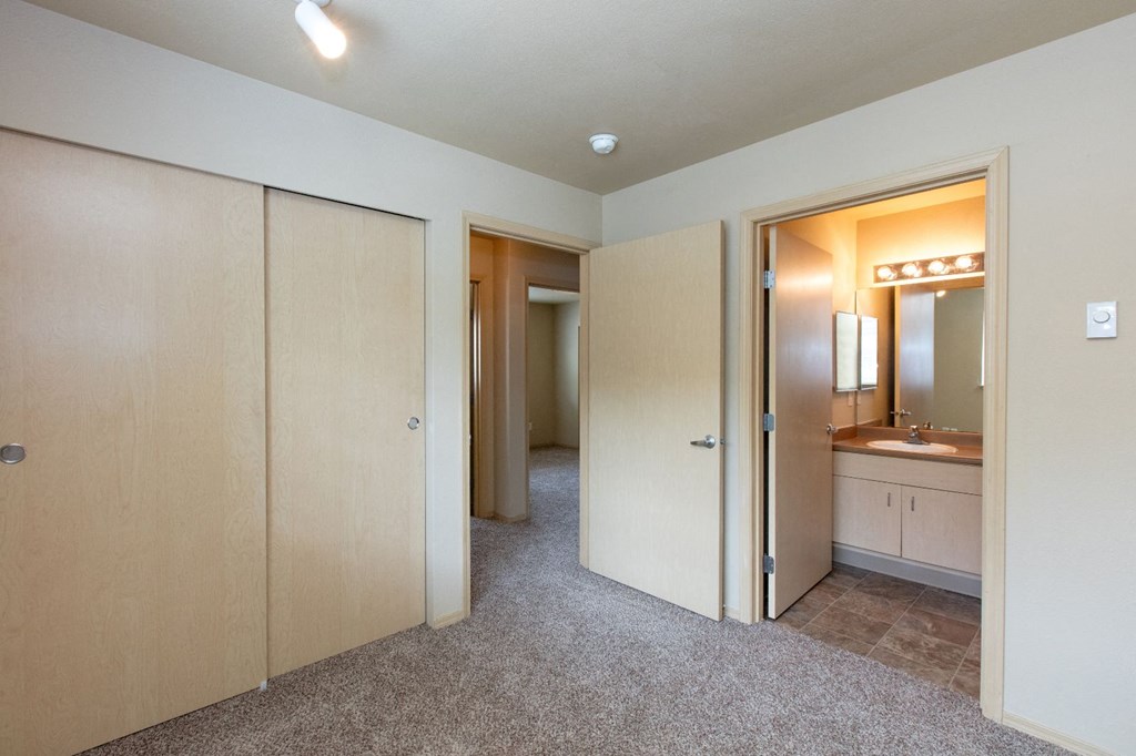 a bathroom with a sink and a mirror and a closet