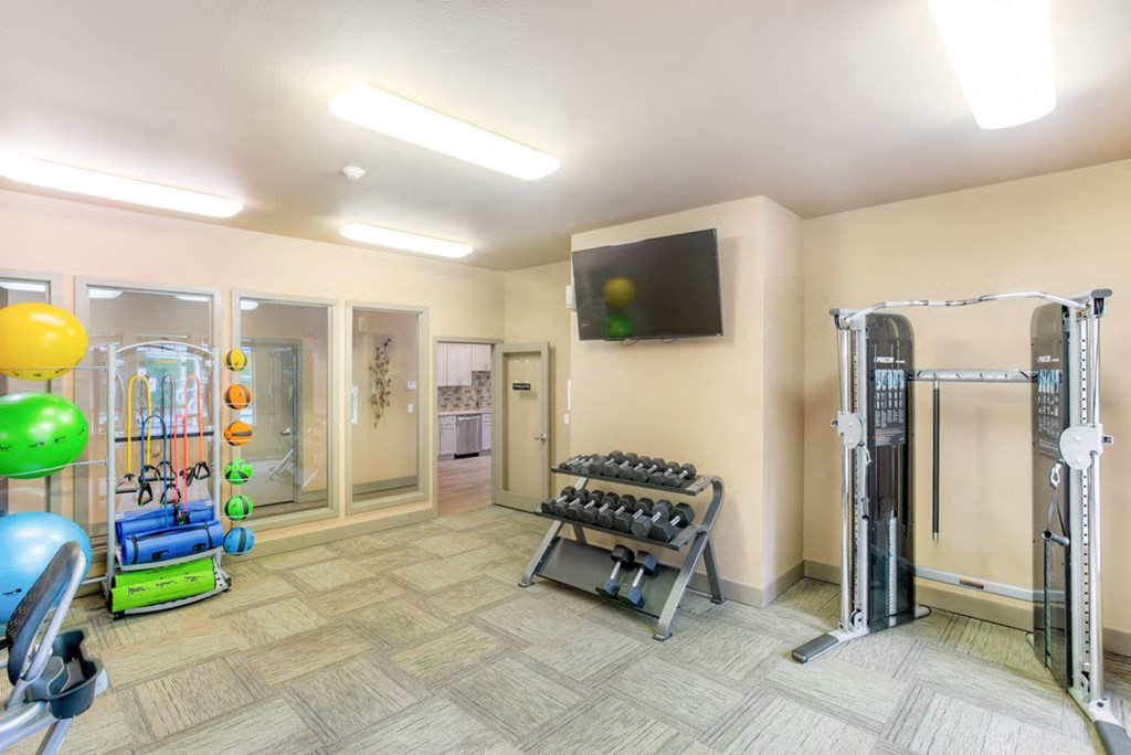 a gym with weights and a tv on the wall
