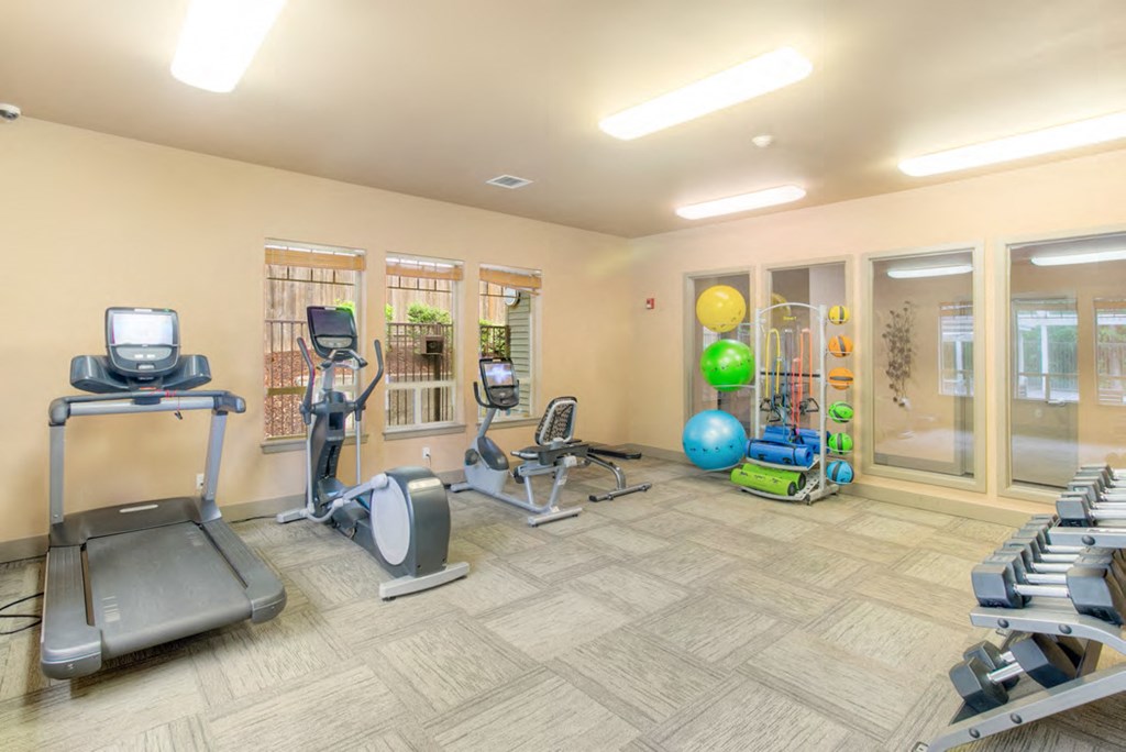 a gym with cardio machines and weights at the enclave at woodbridge apartments