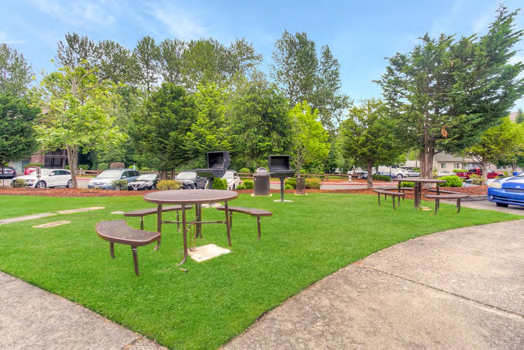 a park with picnic tables and barbecue grills on the grass