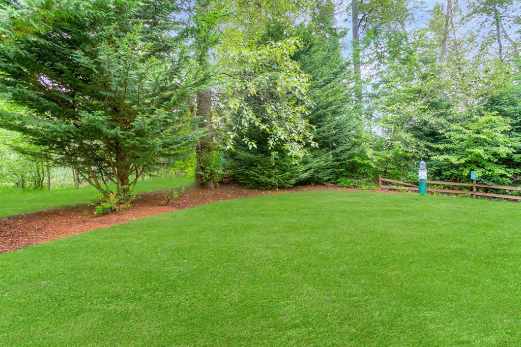 a green lawn with trees and a fence