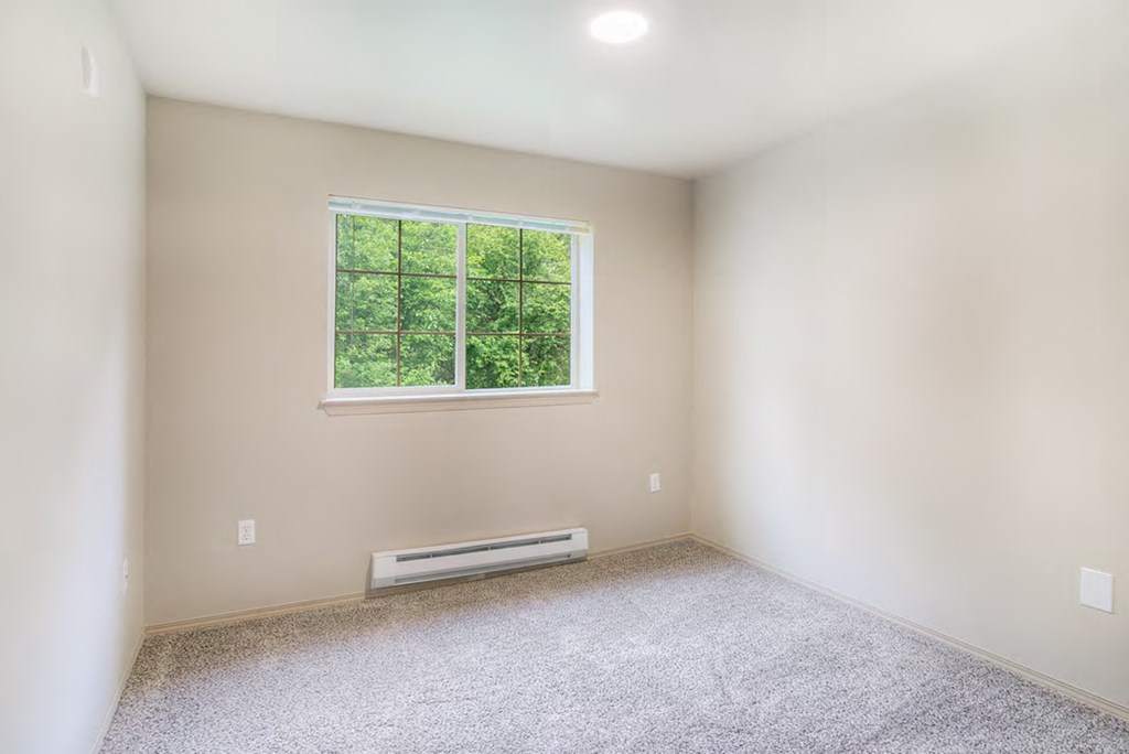 an empty room with a window and carpet