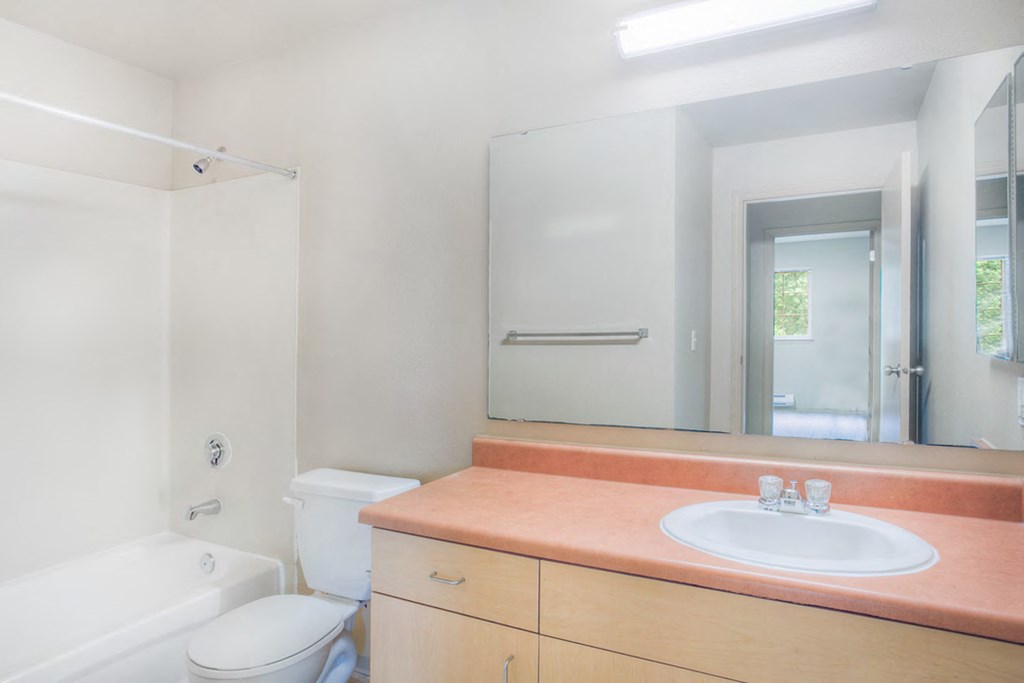 a bathroom with a sink and a toilet and a mirror