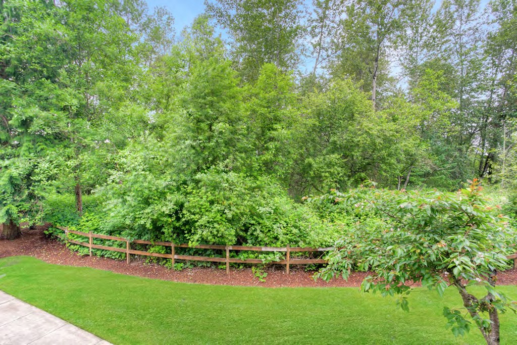 a garden with a wooden fence and trees