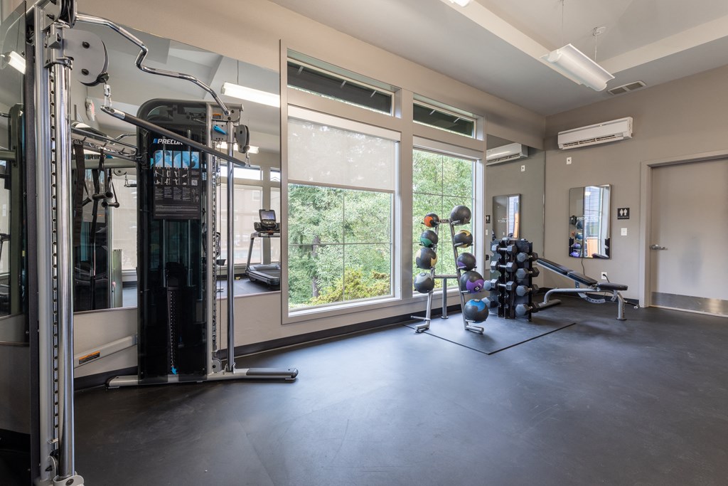 Fitness Studio with Cardio & Free Weights