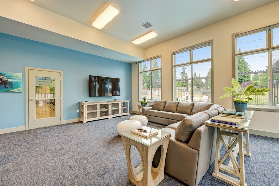 a living room with a couch and a television