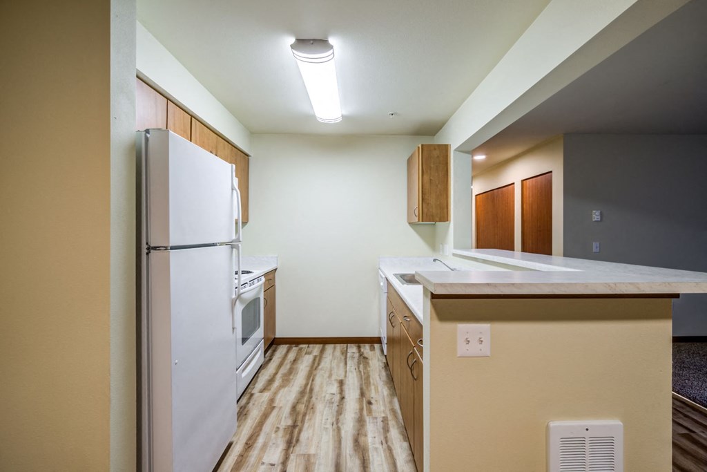 Fully Equipped Kitchen with Refrigerator Microwave and Dishwasner