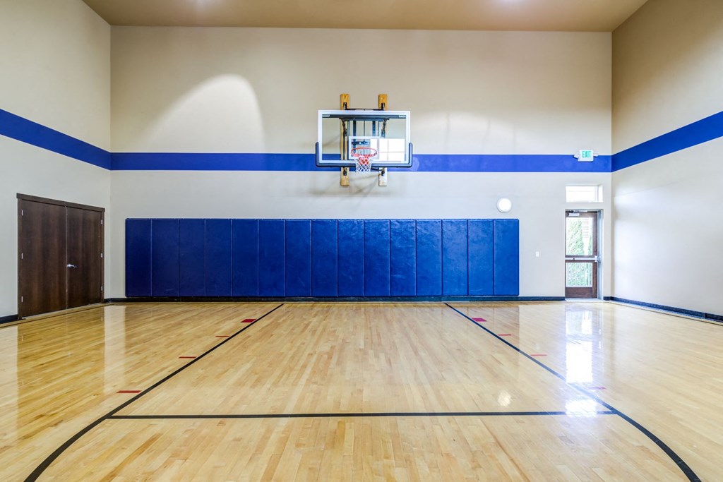 Indoor Sports Court
