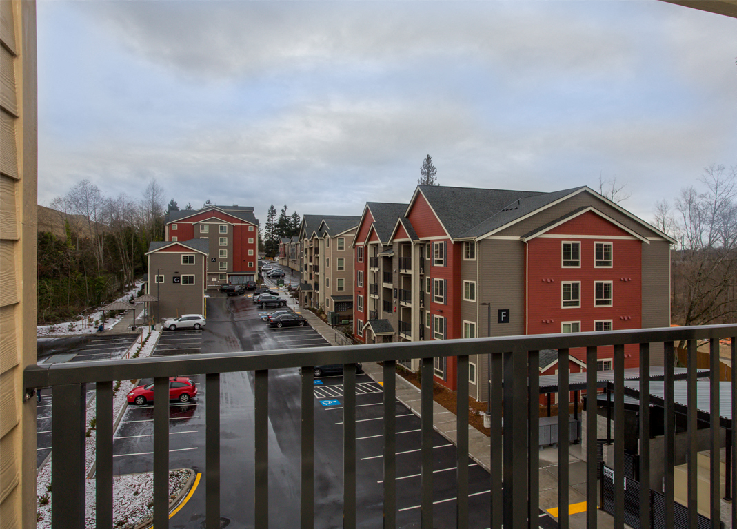 View of Scriber Creek from Patio