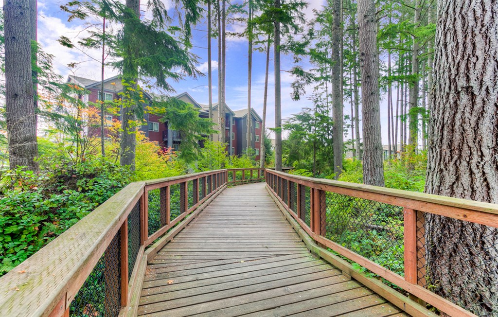 a wooden bridge in a forest with trees and buildings