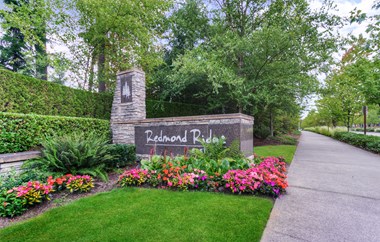 11099 Eastridge Drive NE 3-5 Beds Apartment for Rent Photo Gallery 1