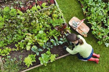 Girl in Garden at Panorama, Snoqualmie, Washington