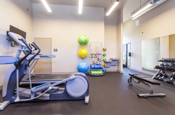 24-Hour Fitness Studio with Cardio & Free Weights