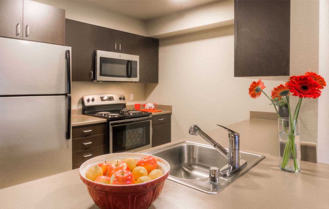 Fully Equipped Kitchen with Refrigerator, Microwave, Dishwasher & USB outlet