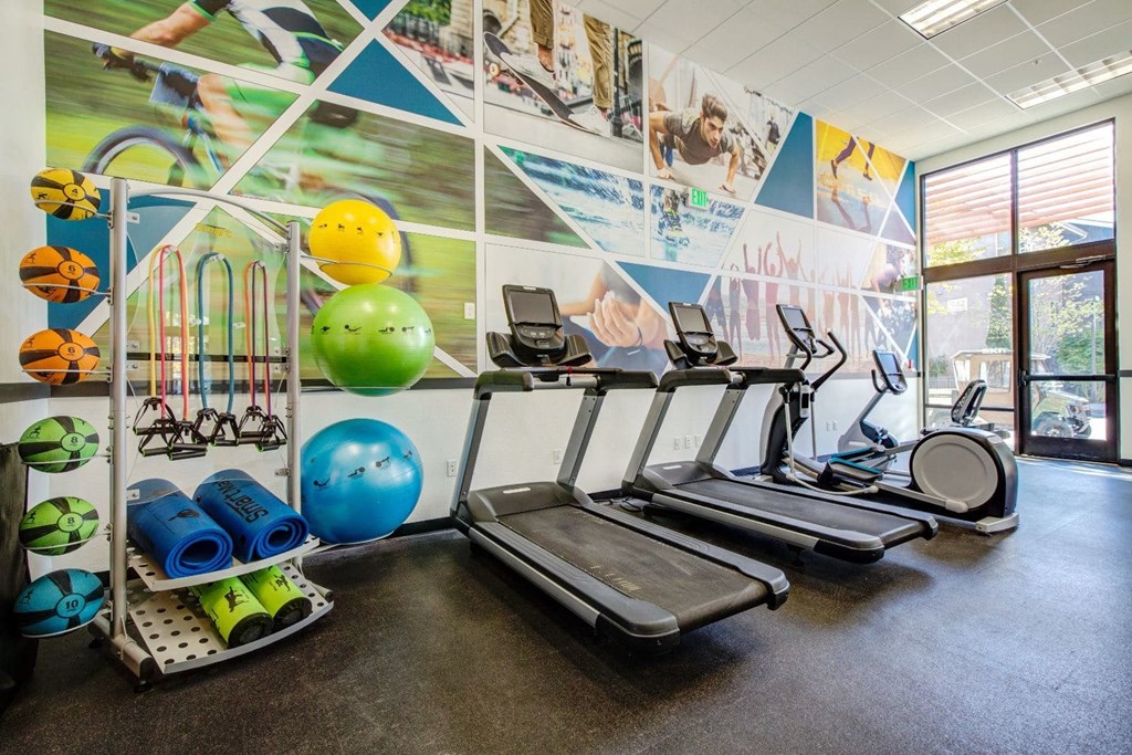 A gym with treadmills, exercise balls, and other equipment.