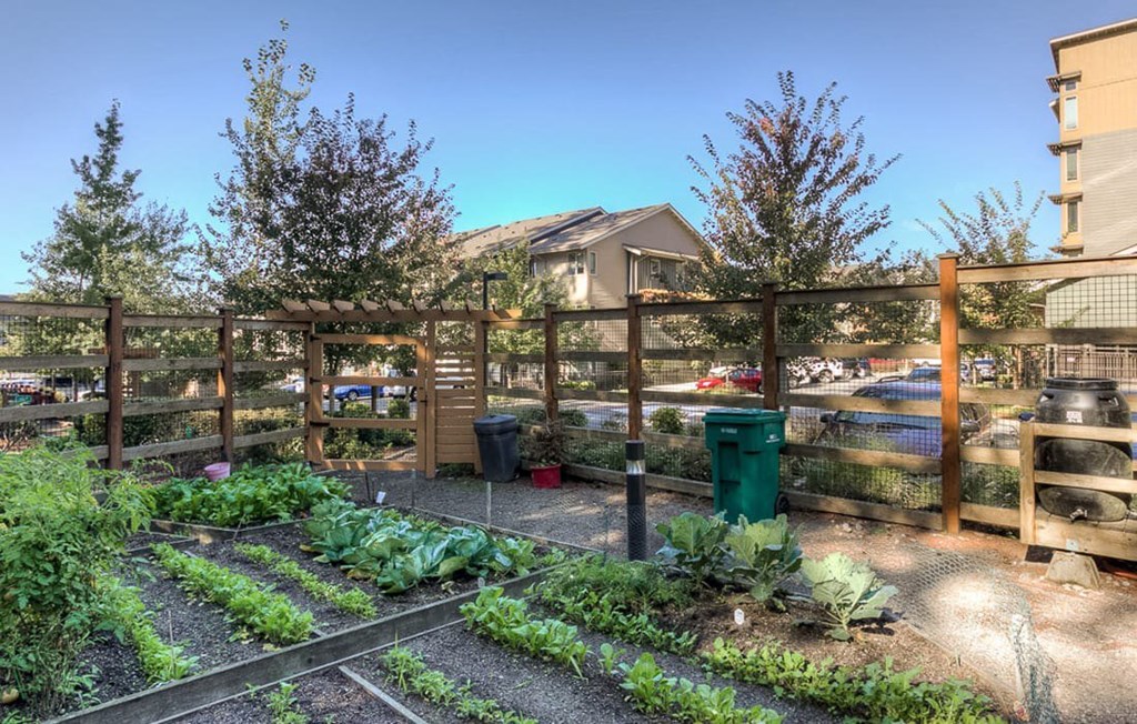 A garden with a fence and vegetables growing in it.