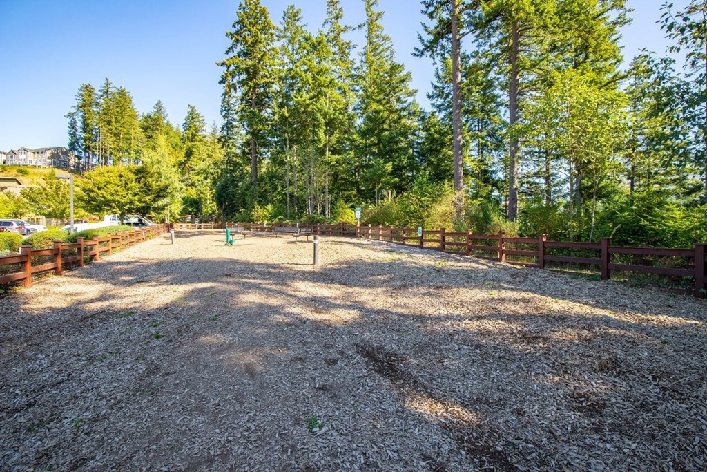 A gravel area surrounded by trees and a fence.