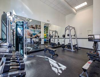A gym with a variety of equipment including dumbbells, weight machines, and a treadmill.