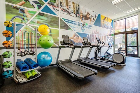 A gym with treadmills, exercise balls, and other equipment.