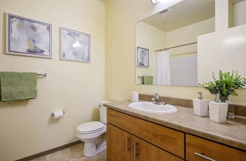 A bathroom with a toilet, sink, and mirror.