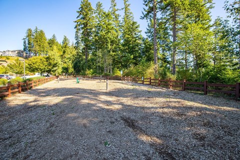 A gravel area surrounded by trees and a fence.