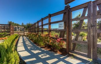 Community garden plots at Discovery West Apartments in  Issaquah, Washington