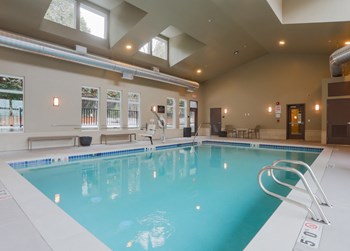 Year Round Indoor Pool - Photo Gallery 6