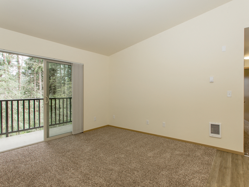 Living Room and Patio