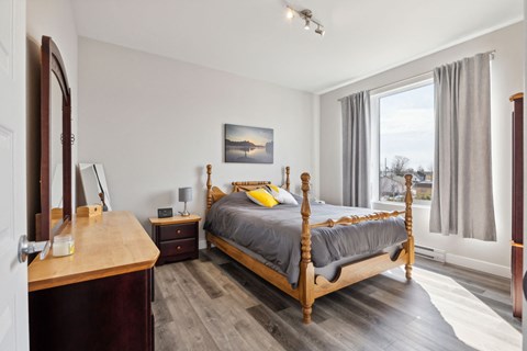 A bedroom with a four poster bed and a wooden dresser.