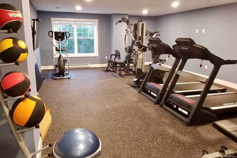 A home gym with a variety of equipment including a treadmill, exercise bike, and weight bench.