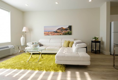 A living room with a white couch and a green rug.