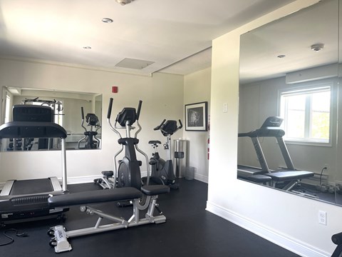 A well-equipped home gym with a variety of exercise machines.