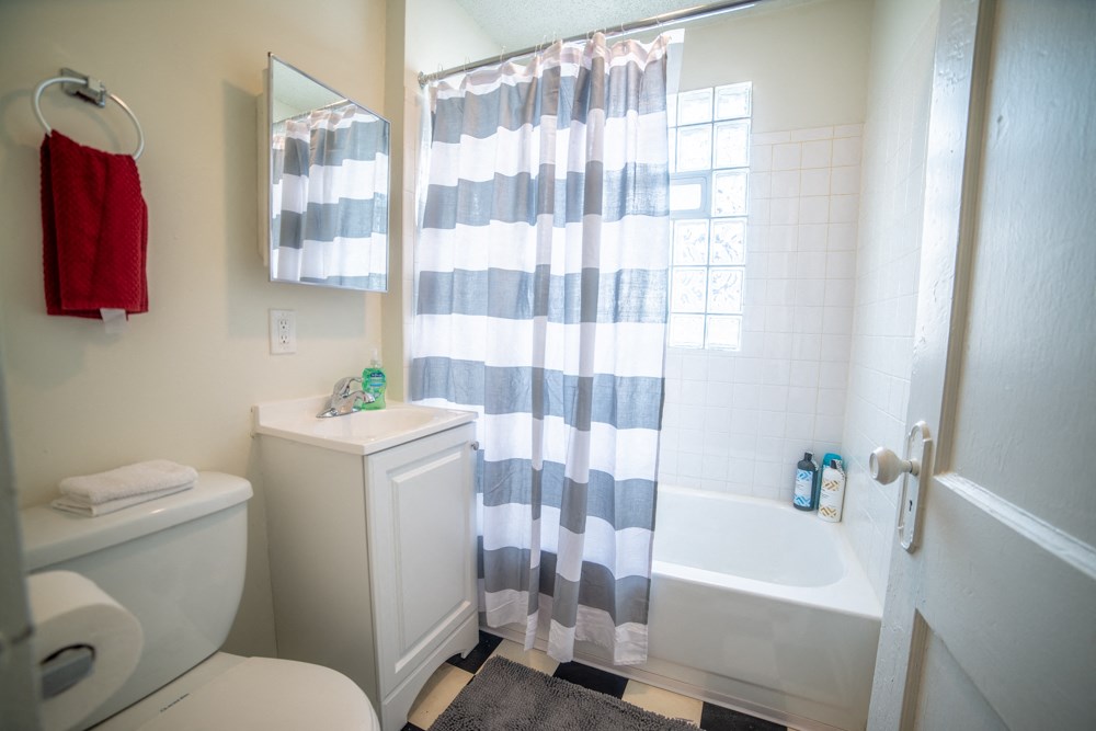 a bathroom with a shower curtain and a toilet and a sink