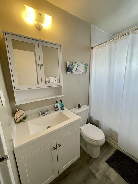 A white bathroom with a toilet, sink, and shower curtain.